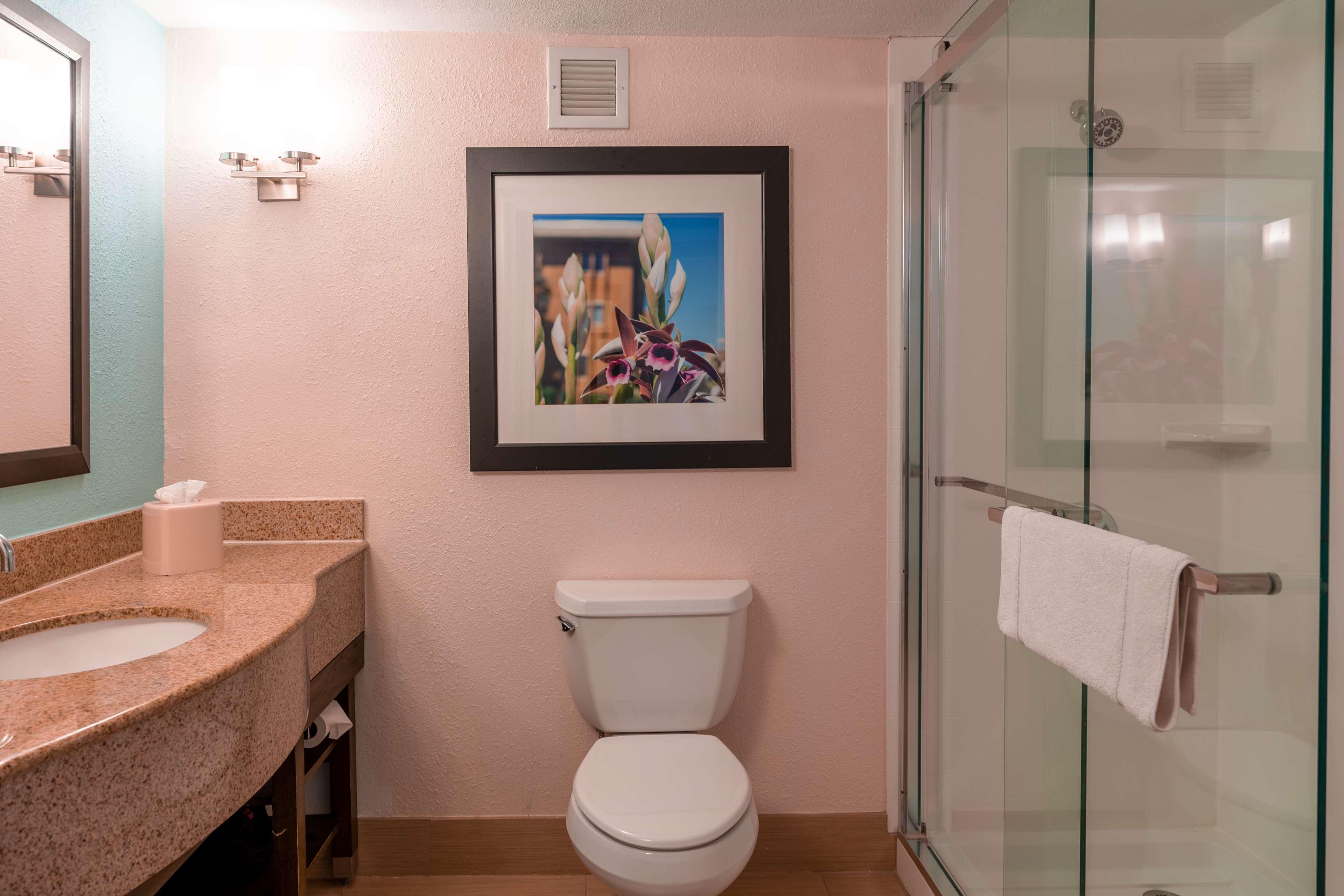 Alafaya Hilton Garden Inn Orlando East - Ucf Area מראה חיצוני תמונה